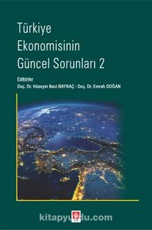 Türkiye Ekonomisinin Güncel Sorunları 2