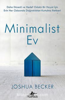 Minimalist Ev