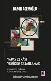 Yapay Zekayı Yeniden Tasarlamak & Otomasyon Çağında İş, Demokrasi ve Adalet