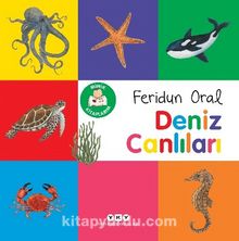 Minik Kitaplarım – Deniz Canlıları