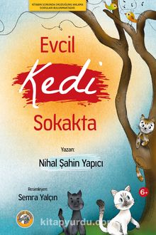 Evcil Kedi Sokakta