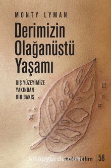 Derimizin Olağanüstü Yaşamı & Dış Yüzeyimize Yakından Bir Bakış