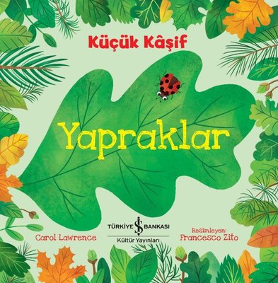 Küçük Kaşif-Yapraklar